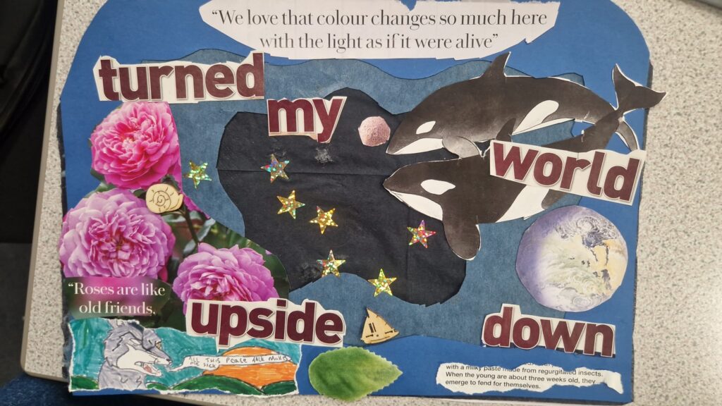 Collage showing words 'turned my world upside down' and main picture killer whale